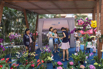 StarCity_2017_01154.jpg