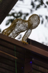 StarCity_2017_01741.jpg