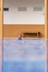 StarCity_2019_00071.jpg