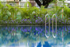 StarCity_2019_00123.jpg