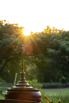 The_Hill_2020_00009.jpg