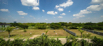 LotusHill_121_2022_0200-4.jpg