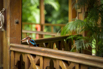 TGR_2026_01699.jpg