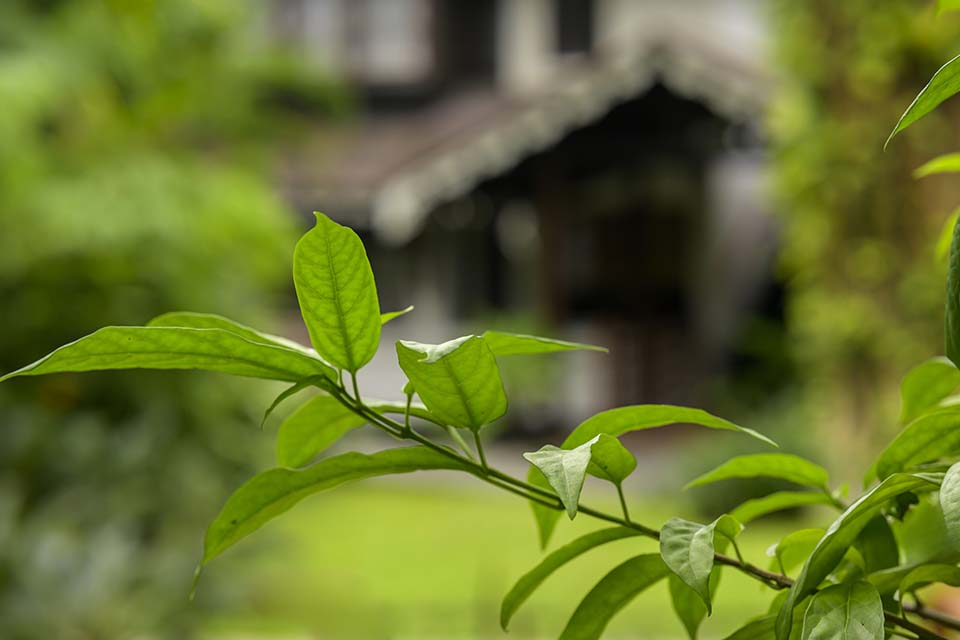 TGR_2026_01852.jpg
