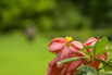 TGR_2026_02010.jpg