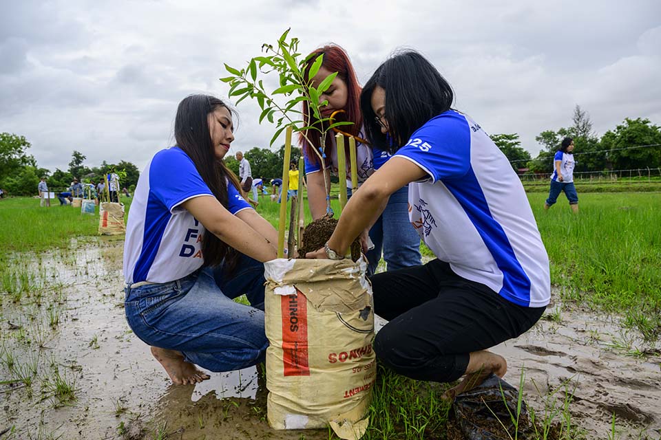 Sustainability_2025_00430.jpg