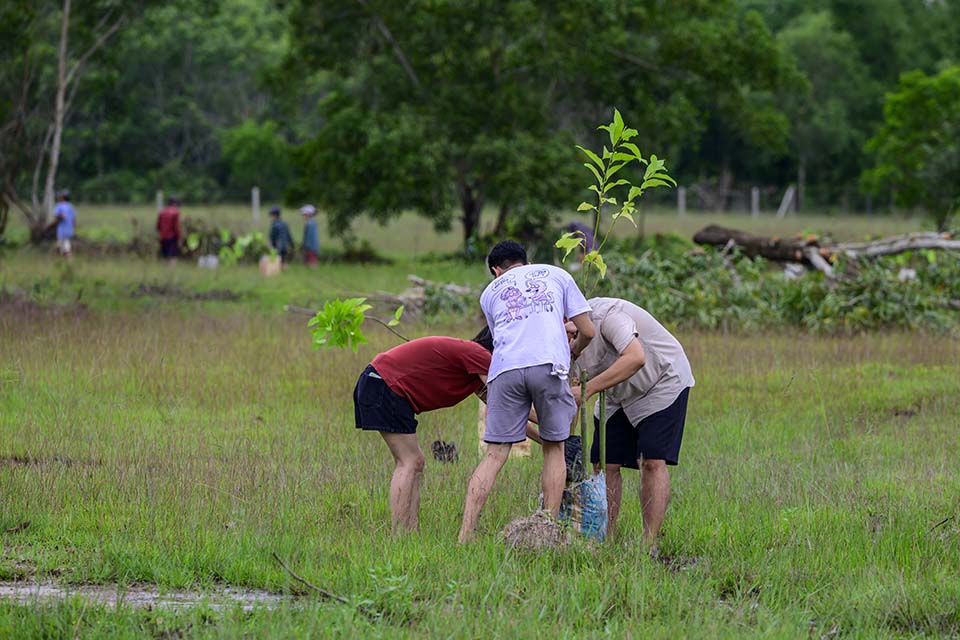 Sustainability_2025_00432.jpg