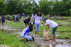 Sustainability_2025_00484.jpg