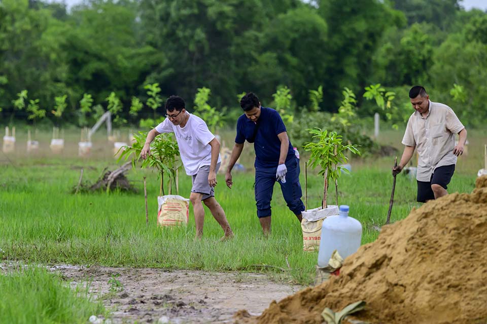 Sustainability_2025_00917.jpg