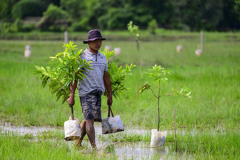 Sustainability_2025_00021.jpg