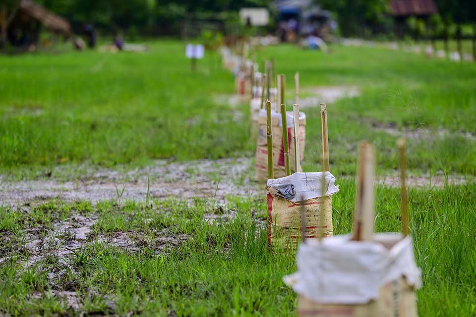 Sustainability_2025_00047.jpg