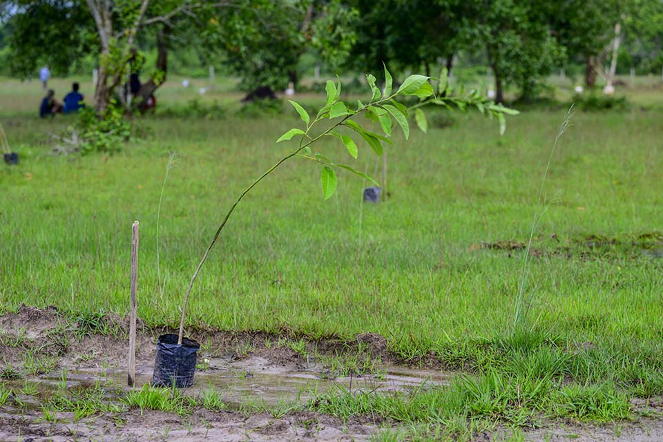 Sustainability_2025_00052.jpg